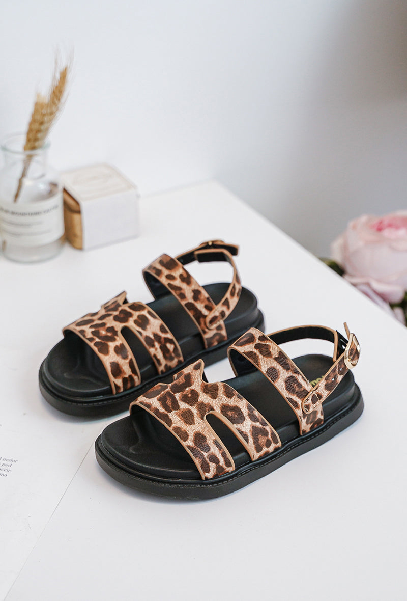 Leopard Kuma