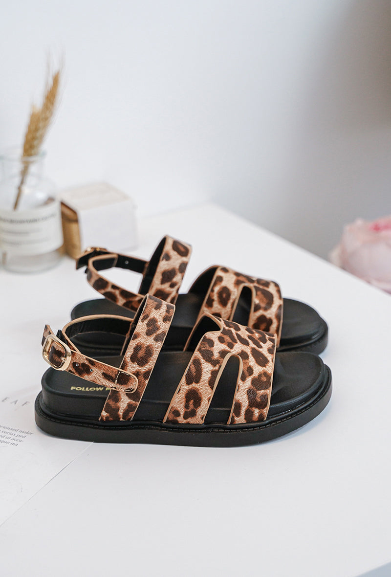 Leopard Kuma