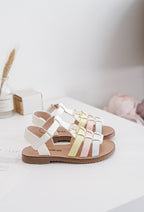 Violette Multicolore